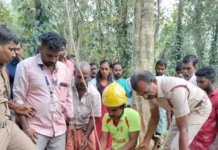 புதுக்கடை: தென்னையிலிருந்து தொழிலாளியை மீட்ட தீயணைப்பு துறை