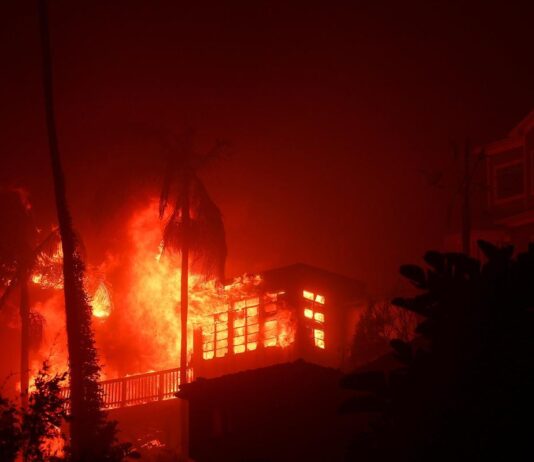 லாஸ் ஏஞ்சல்ஸ் காட்டுத்தீயில் ரூ.10,375 கோடி மதிப்பிலான சொகுசு ஓட்டல் எரிந்து நாசம்