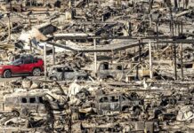 இதுவரை 24 பேரை பலிகொண்ட லாஸ் ஏஞ்சல்ஸ் காட்டுத் தீ – உருவானதும் பரவியதும் எப்படி?