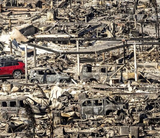 இதுவரை 24 பேரை பலிகொண்ட லாஸ் ஏஞ்சல்ஸ் காட்டுத் தீ – உருவானதும் பரவியதும் எப்படி?