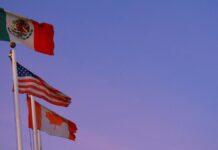 கனடா, மெக்சிகோ மீதான 25% வரிவிதிப்பு தற்காலிக நிறுத்தம்: ட்ரம்ப் முடிவுக்கு காரணம் என்ன?