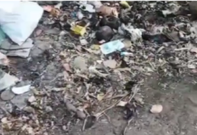 வில்லுக்குறி: சாலையோரம் எரிக்கப்படும் இறைச்சி கழிவுகள்