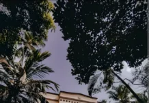 குழித்துறை: முதியவருக்கு பாட்டில் குத்து; 3 பேர் மீது வழக்கு