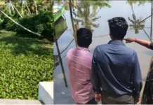 நீரோடி: ஏவிஎம் கால்வாய்; கலெக்டர் திடீர் ஆய்வு