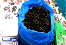 திருவட்டாறு: கஞ்சா விற்ற 2 பேர் கைது 1. 400 கிலோ பறிமுதல்