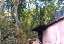 குமரி: ரப்பர் குடோனில் தீ விபத்து