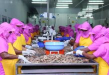 மத்திய அரசு திட்டத்தின் கீழ் உணவு பதப்படுத்தும் குறு நிறுவனங்களுக்கு கடன் வழங்குவதற்கான கால அவகாசம் நீட்டிப்பு