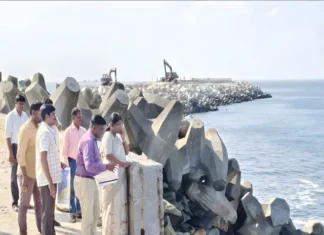 தேங்காப்பட்டணம்: மீன்பிடித் துறைமுகம் கலெக்டர் பார்வை