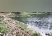 புதுக்கடை: ஆற்றில் கழிவுகளை வீசி செல்லும் சமூக விரோதிகள்