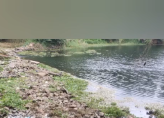 புதுக்கடை: ஆற்றில் கழிவுகளை வீசி செல்லும் சமூக விரோதிகள்