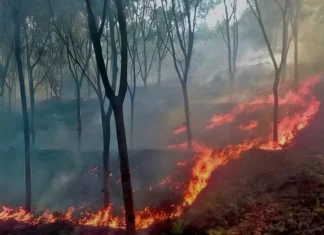 அருமனை: ரப்பர் தோட்டத்தில் பயங்கர தீ