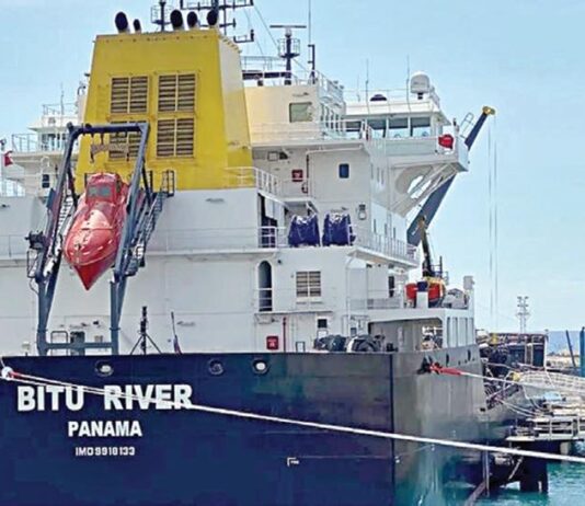 ஆப்பிரிக்காவில் சரக்கு கப்பல் கடத்தல்: 2 தமிழர்கள் உட்பட 7 இந்தியர்களை மீட்க தீவிர முயற்சி