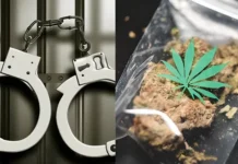 பார்வதிபுரத்தில் கஞ்சா வைத்திருந்த ஐ. டி. ஊழியர் கைது