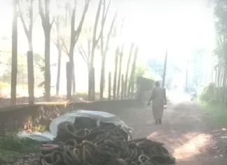 திருவட்டார்: சாலையில் குவித்த டயர் கழிவுகள்