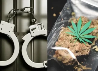 வடசேரியில் கஞ்சா விற்ற 3 பேர் கைது