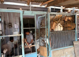 செங்கவிளை: ரேஷன் கடை காலி சாக்குகளை அகற்ற கோரிக்கை