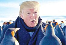 பென்குயின்கள் வாழும் தீவுகளுக்கு 10% வரி விதிப்பு: நகைச்சுவை மீம்ஸ்களாக வைரலாகும் ட்ரம்ப் உத்தரவு