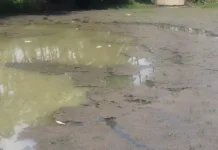 கருங்கல்: குளத்தில் செத்து மிதக்கும் மீன்கள் – புகார்