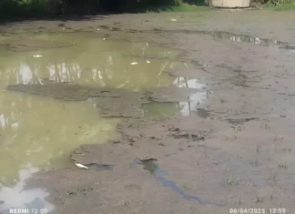 கருங்கல்: குளத்தில் செத்து மிதக்கும் மீன்கள் – புகார்