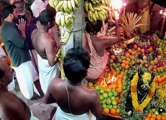 களியக்காவிளை: சிவன் பார்வதி கோவிலில் விஷு கனி நிகழ்ச்சி