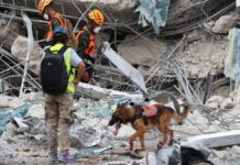 தாய்லாந்தில் கட்டிய 30 மாடி கட்டிடம் தரைமட்டம்: சீன கட்டுமான நிறுவனத்தின் 5 பேர் கைது