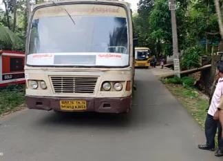 பத்துகாணி: வழியில் பழுதாகி நின்ற அரசு பஸ்