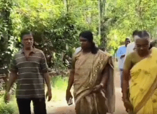 குமரியில் கோக்கோ பயிர் – கலெக்டர் ஆய்வு