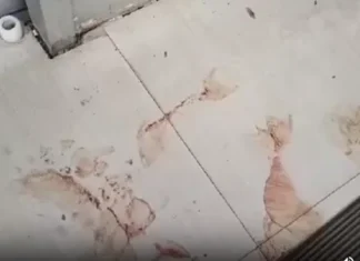 அருமனை: தியேட்டர் ஊழியர் மீது தாக்குதல்; 3 பேர் மீது வழக்கு