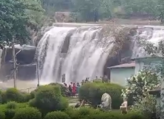 திற்பரப்பு: அருவியில் ஆர்ப்பரித்து கொட்டும் தண்ணீர்