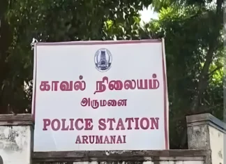 அருமனை: பழமையான ஈட்டி மரம் வெட்டி கடத்தல்