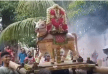 கோதை கிராமம் காசி விஸ்வநாதர் கோயிலில் பிரதோஷ வழிபாடு