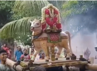 கோதை கிராமம் காசி விஸ்வநாதர் கோயிலில் பிரதோஷ வழிபாடு