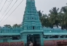 களியங்காடு சிவன் கோவிலில் பிரதோஷ வழிபாடு