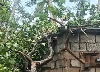 கொல்லங்கோடு: வீட்டில் விழுந்த மரக்கிளையை அகற்ற எதிர்ப்பு