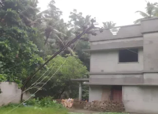 நித்திரவிளை: வீட்டில் விழுந்த உயர் மின்னழுத்த மின்கம்பம்