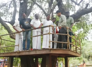 வேப்பமூடு பூங்காவில் பராமரிப்பு பணியை மேயர் மகேஷ் ஆய்வு