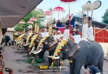 களியக்காவிளை: மகாதேவர் கோயிலில் பூரம் திருவிழா