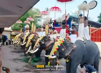 களியக்காவிளை: மகாதேவர் கோயிலில் பூரம் திருவிழா