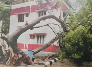 குளச்சல்: மகளிர் போலீஸ் நிலையத்தில் விழுந்த மரங்கள்