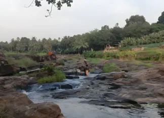 அருவிக்கரை: ஆற்றில் எச்சரிக்கை பலகை வைக்க கோரிக்கை