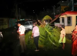 மார்த்தாண்டம்: இரவில் சூறைக்காற்றுடன் பலத்த மழை