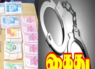 நாகர்கோவிலில் லாட்டரி விற்ற 3 பேர் கைது