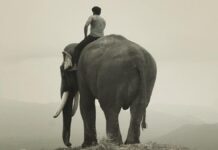 யானைக்கும் சிறுவனுக்குமான அன்பைச் சொல்லும் ‘கும்கி 2’!