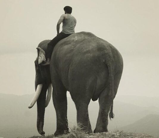 யானைக்கும் சிறுவனுக்குமான அன்பைச் சொல்லும் ‘கும்கி 2’!