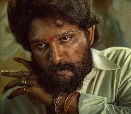 ‘புஷ்பா 3’ கண்டிப்பாக உருவாகும்! – இயக்குநர் சுகுமார் உறுதி