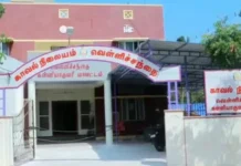 வெள்ளிச்சந்தை: பைக்கில் மகனுடன் சென்ற மூதாட்டி விழுந்து பலி