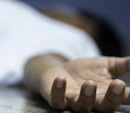 விநாயகர் சிலை ஊர்வல விபத்துகளில் 6 பேர் உயிரிழப்பு