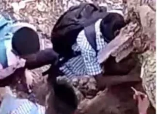 குமரி: போதையில் கஞ்சா புகைத்த 13 மாணவர்கள் கைது