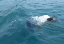 தேங்காபட்டணம்: கடலில் மிதந்த சடலம்; வீடியோ வைரல்