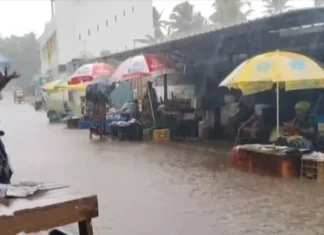 குமரி: நீரில் கலக்கும் மீன் கழிவுகள்.. மக்களே உஷார்
